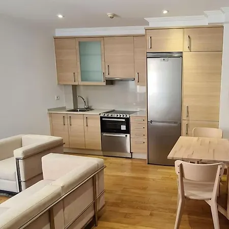 Centrico Nuevo Apartment *